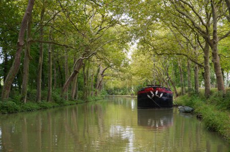 Photo for Green warm colors at the peaceful and wild Canal du Midi, flowing through a tree tunnel and abundant foliage, with a boat cruising in the reflecting green water, in Lauragais, near Toulouse, France - Royalty Free Image
