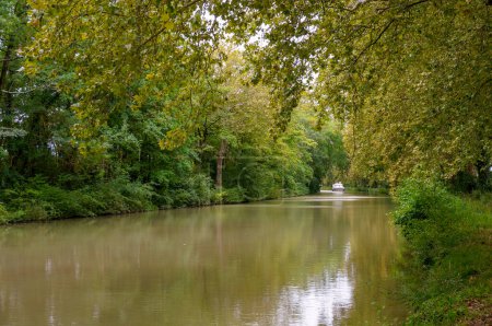 Foto de Colores cálidos verdes en el tranquilo y salvaje Canal du Midi, que fluye a través de un túnel de árboles y abundante follaje, con un barco de crucero en el agua verde reflectante, en Lauragais, cerca de Toulouse, Francia - Imagen libre de derechos