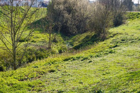 Téléchargez les photos : Un charmant jardin paisible ou une jachère arborant des arbres, de l'herbe et des buissons, traversé par un ruisseau abandonné à Muret, près de Toulouse, dans le sud de la France, par une journée ensoleillée de printemps - en image libre de droit