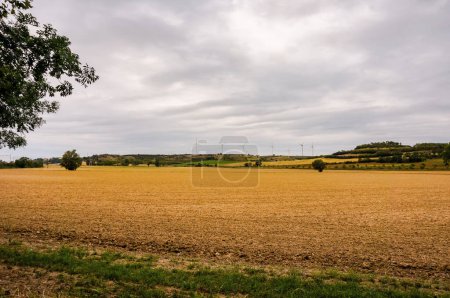 Téléchargez les photos : Un groupe d'éoliennes alignées à l'horizon dans un parc éolien, avec des champs au premier plan - en image libre de droit