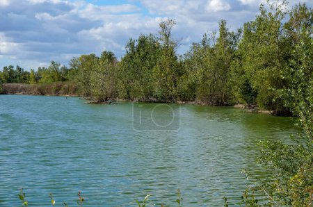 Photo for Beautiful landscape with river and trees - Royalty Free Image