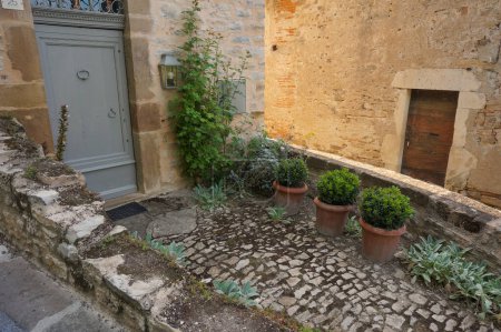 Téléchargez les photos : Cordes-sur-Ciel, France - Août 2022 - Entrée d'une ancienne maison traditionnelle du Sud, avec une ruelle pavée et pavée décorée de fleurs en pot et bordée de murs bas en pierre, dans le village médiéval - en image libre de droit