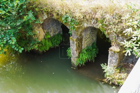 Téléchargez les photos : L'eau verte stagnante du Tarn coule doucement sous deux vieilles arches en briques endommagées, vestiges d'un ancien pont en ruines recouvert de végétation et de mousse, en Occitanie, dans le sud-ouest de la France - en image libre de droit