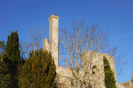Foto de El castillo medieval de Castelnau-de-Levis, Francia, una antigua fortaleza construida en piedra caliza en una colina con murallas masivas, una puerta de entrada fortificada arqueada y una torre de vigilancia en ruinas - Imagen libre de derechos