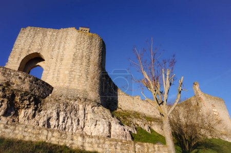 Téléchargez les photos : Ruines des remparts et porte fortifiée voûtée du château médiéval de Castelnau-de-Levis, France, construit en calcaire sur un affleurement rocheux dominant les plaines albigeoises - en image libre de droit