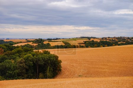 Téléchargez les photos : Belle campagne, paysage vallonné de champs de maïs récoltés et de pentes boisées dans les Albigeois, une zone agricole verdoyante en Occitanie, Sud de la France - en image libre de droit