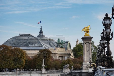 Foto de Canopy de vidrio, rematado con una bandera francesa, del "Grand Palais" (Gran Palacio), que fue construido para la Feria Mundial de 1900 en el octavo arrondissement de París, en Francia, visto desde el puente Alexandre-III - Imagen libre de derechos