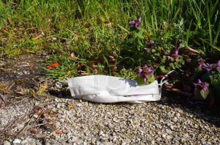 Foto de Mascarilla quirúrgica abandonada en la naturaleza, tirada en la hierba en medio de la pandemia del Coronavirus; ilustración de la contaminación residual del medio ambiente - Imagen libre de derechos