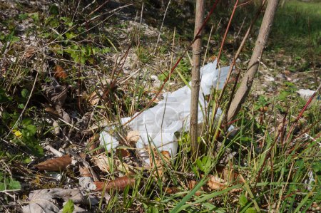 Téléchargez les photos : Sacs en plastique abandonnés à l'état sauvage, jetés dans l'herbe ; illustration de la pollution de l'environnement par les déchets - en image libre de droit