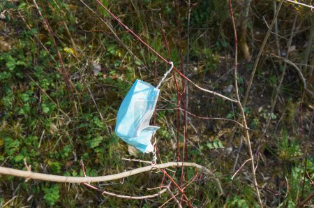 Téléchargez les photos : Masque chirurgical abandonné à l'état sauvage, jeté dans l'herbe au milieu de la pandémie du Coronavirus ; illustration de la pollution de l'environnement par les déchets - en image libre de droit