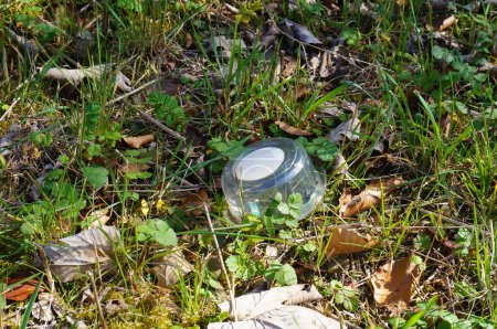 Foto de Una caja de plástico transparente abandonada en la naturaleza, tirada en la hierba; ilustración de la contaminación de residuos del medio ambiente - Imagen libre de derechos