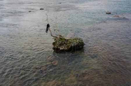 Foto de Sinister view of torn pieces of cloth hung on the branch of a tree, on a small rock in the middle of the water of a sea or a river ; illustration for a critical missing or a death by drowning - Imagen libre de derechos