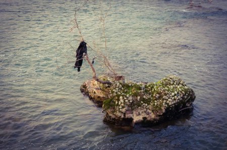Foto de Sinister view of torn pieces of cloth hung on the branch of a tree, on a small rock in the middle of the water of a sea or a river ; illustration for a critical missing or a death by drowning - Imagen libre de derechos