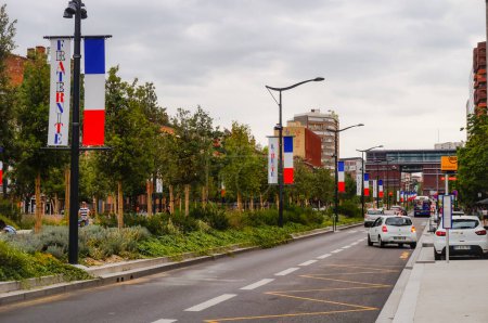Foto de Toulouse, Francia - 11 de julio de 2020 - Con vistas al Día de la Bastilla (Día Nacional de Francia, el 14 de julio), las Ramblas de Jean Jaures, la calle principal del centro de la ciudad, están decoradas con una fila de banderas - Imagen libre de derechos
