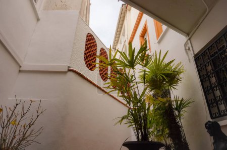 Photo for Toulouse, France - Dec. 2020 - Tropical plants, including potted palm trees, in the inner courtyard of the Honorary Consulate of Cambodia, which occupies a colonial-style house in Jules Guesde Street - Royalty Free Image