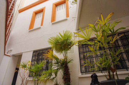 Téléchargez les photos : Toulouse, France - Déc. 2020 - Plantes tropicales, dont des palmiers en pot, dans la cour intérieure du Consulat honoraire du Cambodge, qui occupe une maison de style colonial rue Jules Guesde - en image libre de droit