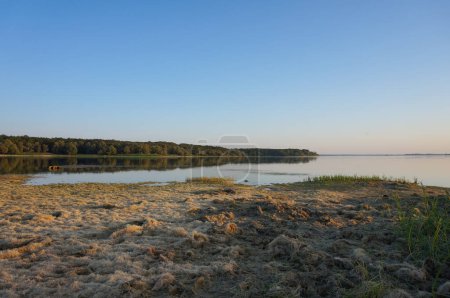 Photo for Graudot, France - Sept. 9, 2023 - Wild beach at sunset by the Lake of the Forest of Orient, near Troyes (Aube), looking towards Petite Italie Headland; the ground is covered with aquatic mosses - Royalty Free Image