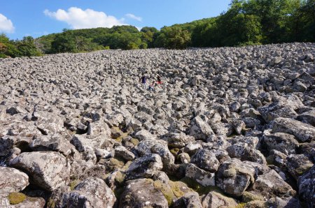 Foto de Lassouts, Francia - 9 de agosto de 2024 - "Clapas de Thubis" o Flujo de lava de Roquelaure, un sitio geológico que resulta de la ruptura de un antiguo flujo de lava en forma de basalto volcánico, pedregal rocoso - Imagen libre de derechos