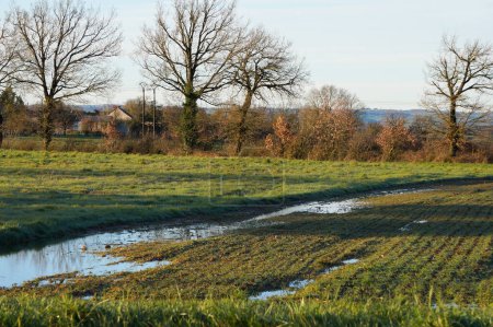 Téléchargez les photos : Aveyron, France - 10 mars 2024 - Une petite étendue d'eau dans un champ cultivé avec semis, dans la zone rurale de Lvzou, formée par l'eau de pluie dans des brides créées par des tracteurs agricoles - en image libre de droit