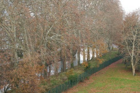 Toulouse, France - Feb. 1, 2024 - The Canal du Midi in winter, separating the campuses of the engineering schools ISAE-SUPAERO in Montaudran and INSA in Rangueil, in the Lespinet Space Complex