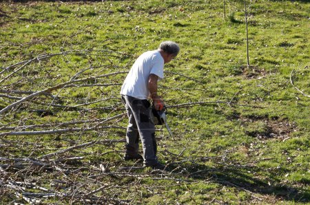 Foto de Aveyron, Francia - 1 de marzo de 2024 - Un hombre retirado en un jardín corta ramas en troncos de madera más pequeños con una motosierra, después de que un árbol ha sido cortado como parte del mantenimiento anual de los espacios verdes. - Imagen libre de derechos