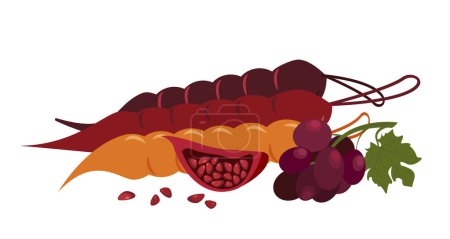 Illustration for Three types of Fruit churchkhela.National Georgian sweet candy.Delicious traditional Caucasian dessert with juice of grape,pomegranate cherry isolated on white background.Colorful vector illustration - Royalty Free Image