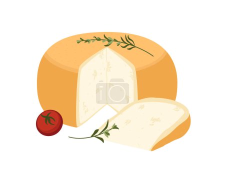 Illustration for Shebolili Suluguni, Exotic Sakartvelo Smoked cheese.Gourmet cheese with holes and bubbles.Cut piece of delicious soft chees.Flat vector illustration of delicatessen food isolated, white background - Royalty Free Image