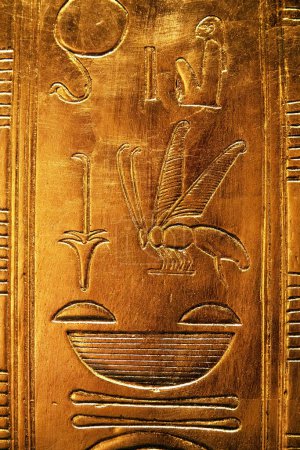 Téléchargez les photos : Hiéroglyphes avec une guêpe de la tombe de Toutankhamon - en image libre de droit