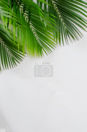 Téléchargez les photos : Feuilles de palmier sur fond blanc. une pile de feuilles de palmier vert sur un fond blanc avec espace de copie. conçu pour l'illustration de salutation du dimanche des Rameaux. Illustration pour Dimanche des Rameaux - en image libre de droit