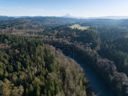 Téléchargez les photos : Une vue aérienne montre la rivière Sandy qui coule dans une forêt saine près du mont Hood, en Oregon. Les forêts couvrent de vastes étendues de terre dans tout le Pacifique Nord-Ouest aux États-Unis. - en image libre de droit