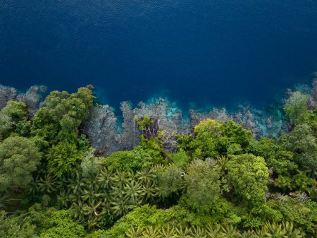 Foto de La exuberante selva en una remota isla tropical está bordeada por un arrecife de coral en las Islas Salomón. Este hermoso país es el hogar de la espectacular biodiversidad marina y muchos sitios históricos de la Segunda Guerra Mundial. - Imagen libre de derechos
