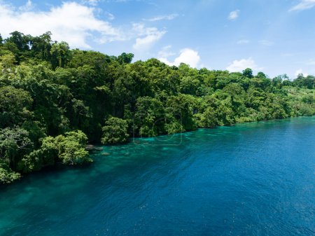 Téléchargez les photos : La jungle luxuriante sur une île tropicale reculée est bordée par un récif corallien dans les îles Salomon. Ce beau pays abrite une biodiversité marine spectaculaire et de nombreux sites historiques de la Seconde Guerre mondiale. - en image libre de droit