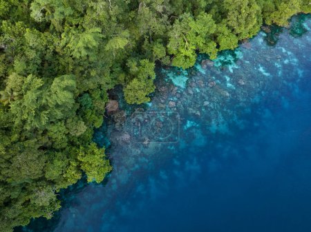 Téléchargez les photos : La jungle luxuriante sur une île tropicale reculée est bordée par un récif corallien dans les îles Salomon. Ce beau pays abrite une biodiversité marine spectaculaire et de nombreux sites historiques de la Seconde Guerre mondiale. - en image libre de droit