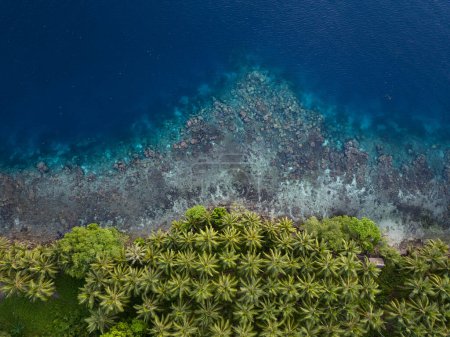Téléchargez les photos : Une île tropicale couverte de palmiers est bordée par un récif corallien dans les îles Salomon. Ce beau pays abrite une biodiversité marine spectaculaire et de nombreux sites historiques de la Seconde Guerre mondiale. - en image libre de droit