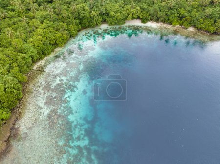 Téléchargez les photos : Une île tropicale luxuriante est bordée par un récif corallien dans les îles Salomon. Ce beau pays abrite une biodiversité marine spectaculaire et de nombreux sites historiques de la Seconde Guerre mondiale. - en image libre de droit