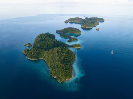 Des récifs coralliens frangeants sains poussent autour des belles îles qui émergent du paysage marin de la Papouasie occidentale. Cette partie reculée de l'Indonésie est connue pour sa biodiversité marine incroyablement élevée.