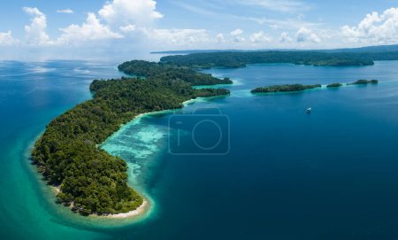 Téléchargez les photos : Des récifs coralliens frangeants sains poussent autour des belles îles qui émergent du paysage marin de la Papouasie occidentale. Cette partie reculée de l'Indonésie est connue pour sa biodiversité marine incroyablement élevée. - en image libre de droit