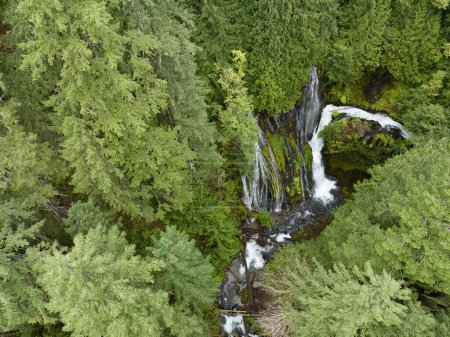 Foto de Visto desde la perspectiva de un ojo de pájaro, las impresionantes Cataratas Panther Creek fluyen a través del Bosque Nacional Gifford Pinchot en Washington. Esta hermosa zona no está lejos de la garganta del río Columbia. - Imagen libre de derechos