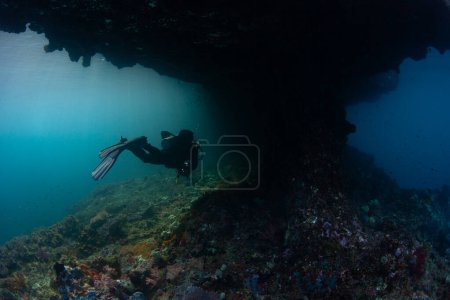 Photo for A diver explores a shallow coral reef in Raja Ampat, Indonesia. This remote region harbors extraordinary marine biodiversity and is known for awesome scuba diving and snorkeling. - Royalty Free Image