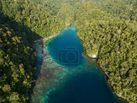 Photo for Coral reefs fringe the islands in Alyui Bay, a large body of water in Waigeo Island in Raja Ampat. This area is known as the heart of the Coral Triangle due to its incredible marine biodiversity. - Royalty Free Image