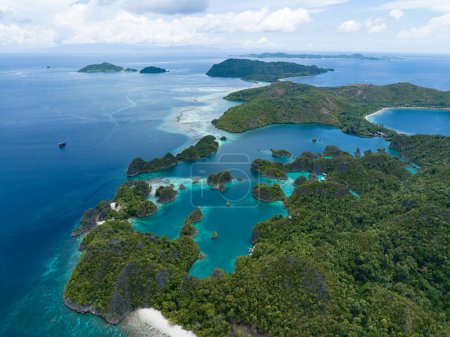 Las islas increíblemente pintorescas de Penemu están rodeadas de hermosos arrecifes de coral. Estas islas, que se encuentran en el norte de Raja Ampat, apoyan una increíble variedad de biodiversidad.