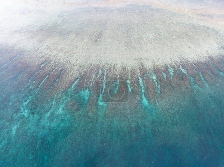 Téléchargez les photos : Vu de l'œil d'un oiseau, on trouve des éperons et des rainures sur un récif corallien peu profond à Ambon, en Indonésie. Cette zone abrite une biodiversité marine extraordinaire. - en image libre de droit