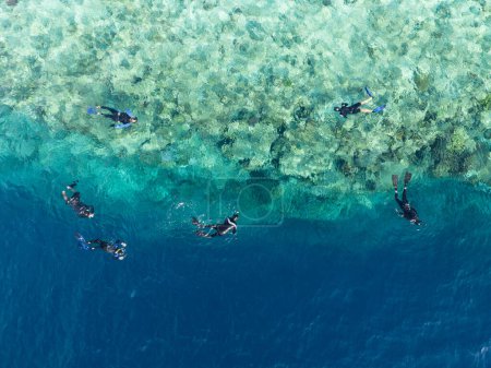 Téléchargez les photos : Les plongeurs voient une variété spectaculaire de coraux et de poissons sur l'île idyllique de Midorang, en Indonésie. L'île est entourée par un récif plat les gouttes précipitamment dans l'océan profond de l'Indonésie. - en image libre de droit