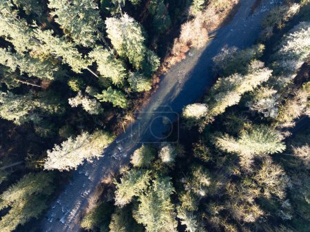 Téléchargez les photos : La lumière du soleil du matin brille sur le ruisseau Eagle alors qu'il coule dans une belle forêt de l'Oregon. Les nombreux bassins hydrographiques du Pacifique Nord-Ouest sont des habitats vitaux pour les poissons indigènes.. - en image libre de droit