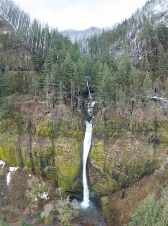 Téléchargez les photos : Les chutes de prêle coulent au-dessus du paysage accidenté et montagneux des gorges du fleuve Columbia séparant les États de l'Oregon et de Washington. La région du Pacifique Nord-Ouest a d'incroyables paysages extérieurs. - en image libre de droit