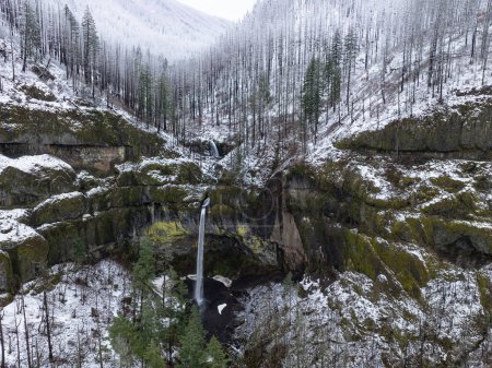 Téléchargez les photos : La cascade d'Elowah coule sur un paysage accidenté et montagneux dans les gorges du fleuve Columbia séparant les États de l'Oregon et de Washington. La région du Pacifique Nord-Ouest a d'incroyables paysages extérieurs. - en image libre de droit