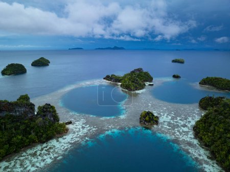 Hermosas islas de piedra caliza surgen del paisaje marino tropical de Raja Ampat. Esta región de Indonesia es conocida como el corazón del Triángulo del Coral debido a la extraordinaria biodiversidad marina que se encuentra allí..