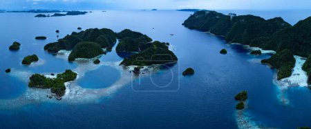 Foto de Hermosas islas de piedra caliza surgen del paisaje marino tropical de Raja Ampat. Esta región de Indonesia es conocida como el corazón del Triángulo del Coral debido a la extraordinaria biodiversidad marina que se encuentra allí.. - Imagen libre de derechos