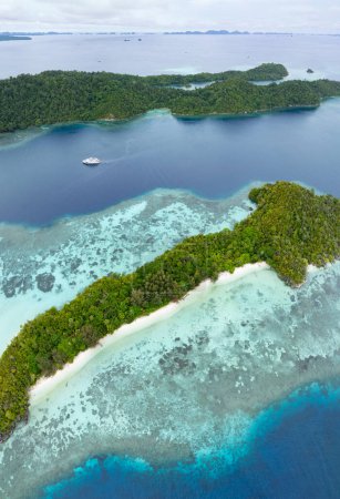 Beautiful limestone islands rise from Raja Ampat's tropical seascape. This region of Indonesia is known as the heart of the Coral Triangle due to the extraordinary marine biodiversity found there.