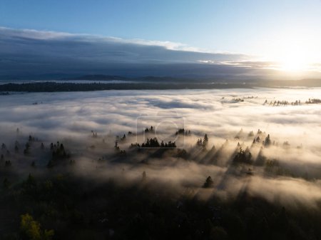 Tôt le matin, la lumière du soleil illumine le brouillard qui s'est installé dans la vallée de Willamette, dans le nord de l'Oregon, non loin au sud de Portland. Tout le Pacifique Nord-Ouest est connu pour son climat humide et tempéré.